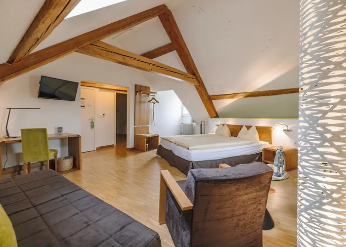 ODELYA Hotel&Naturgarten Basel City